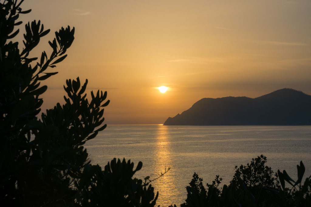 The sun almost in the horizon in the sea with a mountain next to it and framed by olive branches