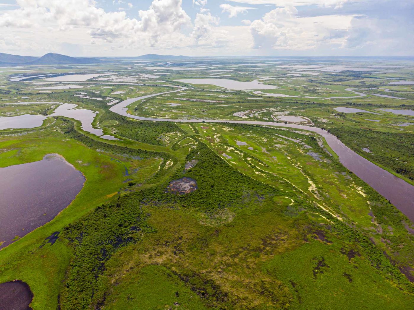 travel to pantanal brazil